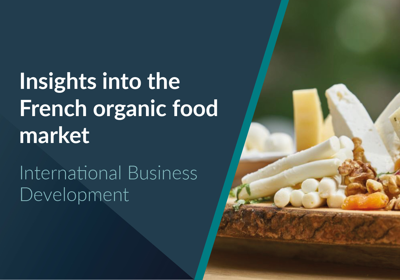 Insights into the French organic food sector 